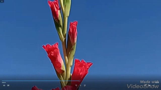 Кино и ТВ 2022 08 07 11 45 45 Trim смотреть онлайн