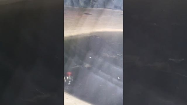 Карликовый бегемот ?!!! смотреть онлайн