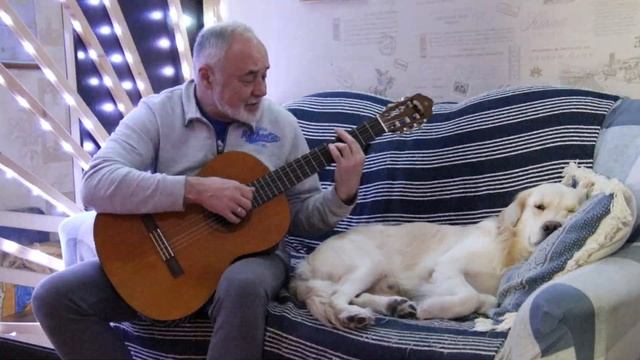 Про собаку смотреть онлайн