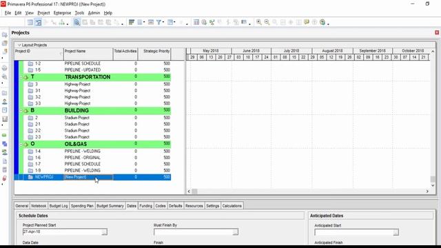 Primavera Portfolio Management & Primavera Enterprise Project Structure смотреть онлайн