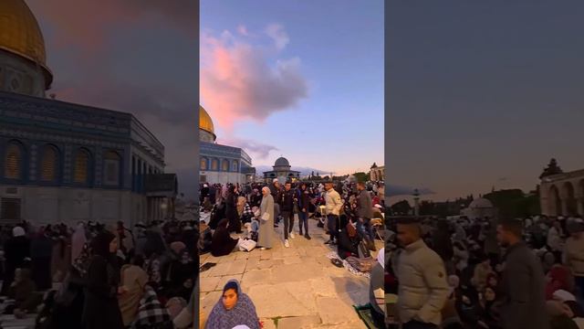 Палестина аль Акса смотреть онлайн