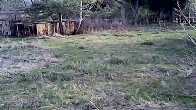 JJRC H5P видео с камеры смотреть онлайн