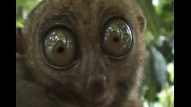 Руководство к Креативному Искусству