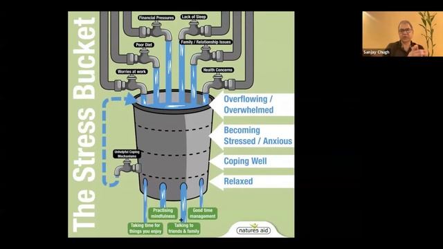 MeraDoc | A Beautiful Mind: Addressing Adolescent Mental Health | Dr. Sanjay Chugh | Mr. Yogi Suri смотреть онлайн
