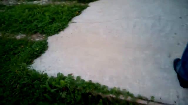 Ежик пришел в гости. смотреть онлайн
