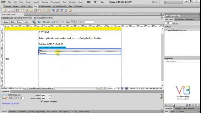Ders 21: Adobe Dreamweaver Insert - Javascript Spry Collapsible Panel смотреть онлайн