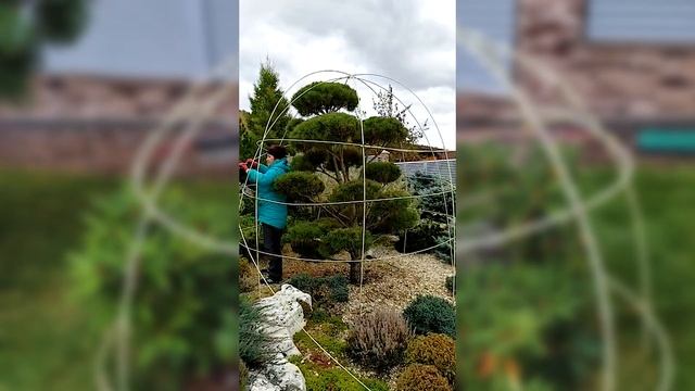 Готовим сад с осени… смотреть онлайн