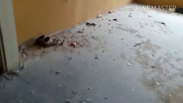 Vlog #1(влизаме в изоставена фабрика :))) смотреть онлайн