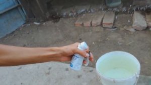 Хрип у кур.Кашель. Болезни Домашней птицы.Лечение. Профилактика.