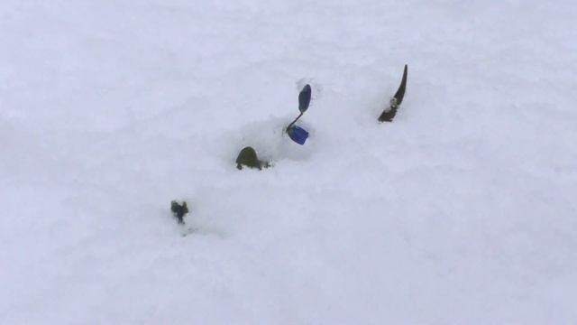 Зима ПЕРЕДУМАЛА . 23 марта 2019 . смотреть онлайн