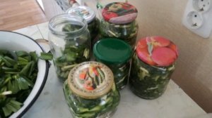 Как сохранить черемшу на зиму.