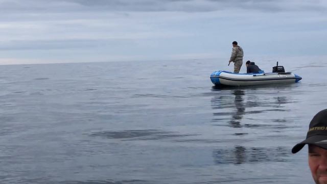 Тунец 2021год 14 октября .