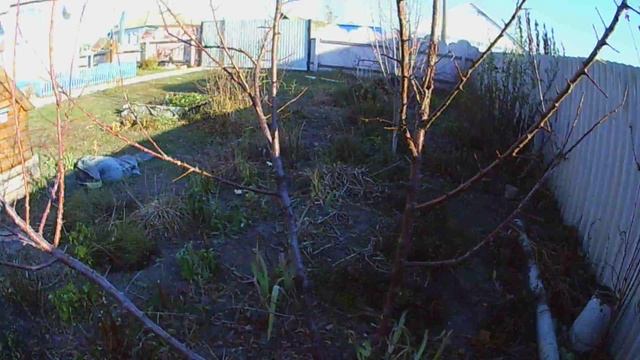 #полисадник уже после чистки.ноябрь смотреть онлайн