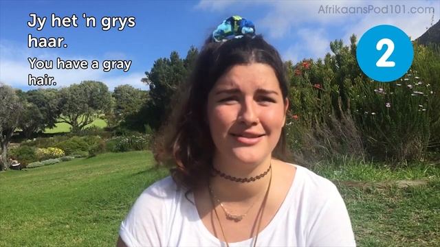 Learn Afrikaans In 3 Hours: Basics Of Afrikaans Speaking For Beginners