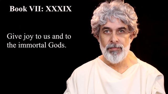 The Meditations of Marcus Aurelius, Book 7 | Videobook смотреть онлайн