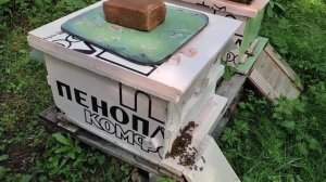 Зимовка пчел в ульях из ППС и ППУ_  Рахматулин