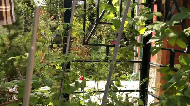 Последний жаркий день Августа 22 года смотреть онлайн