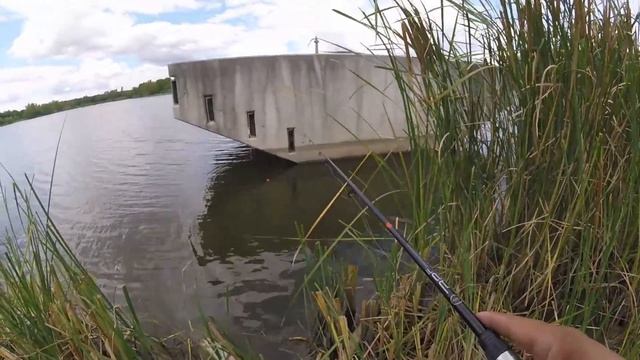 Bluegill Catch and Cook with Gulp Maggots смотреть онлайн