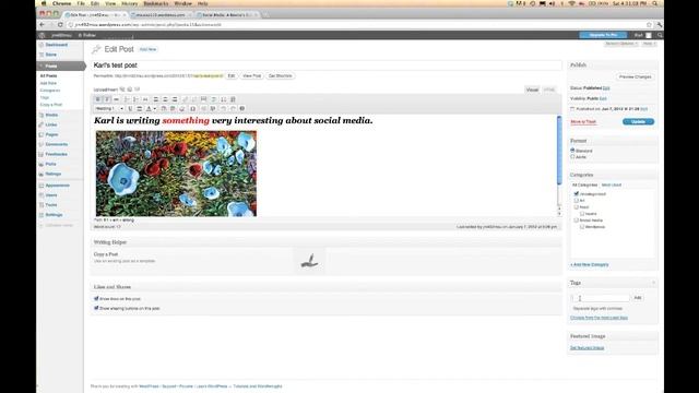 Wordpress.com: How to add tags and categories to your posts смотреть онлайн