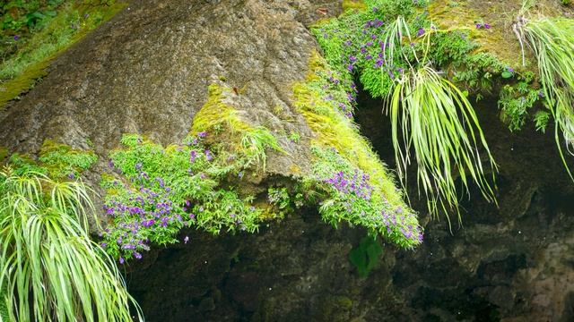 relax / расслабляющая музыка смотреть онлайн