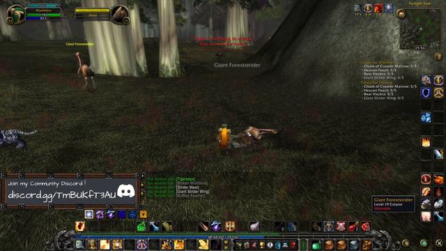 HC Turtle WoW Vanilla+ Alliance # 163 - 