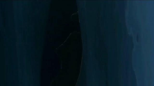 Female shark swallows sushi (but instead swallows you) смотреть онлайн
