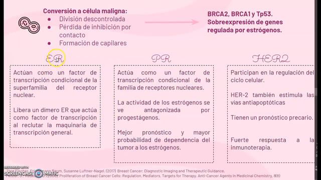 Cáncer de mama parte 1 смотреть онлайн