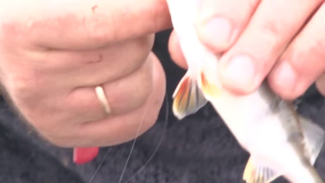 Первый лёд_ Ловим Подлещика. Мастер-класс 275HD. Catching bream from the thin ic смотреть онлайн