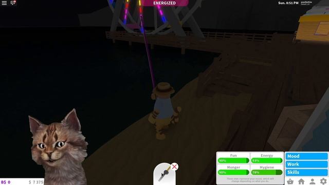 Добро пожаловать в Блоксбург. Welcome to Bloxburg. Роблокс. смотреть онлайн