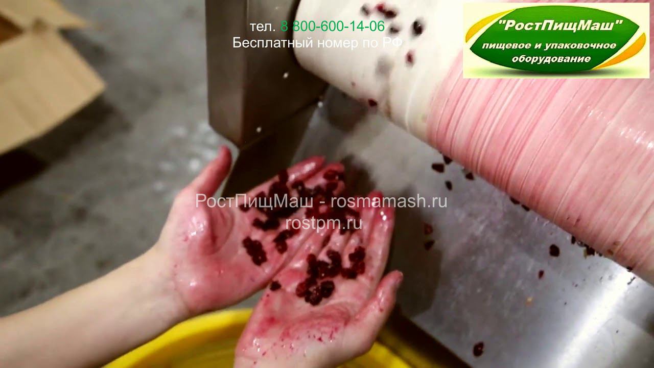 Измельчение клюквы на DY-801 от РостПищМаш смотреть онлайн