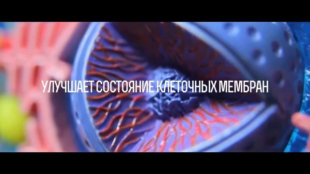 Живая вода, Water for life смотреть онлайн