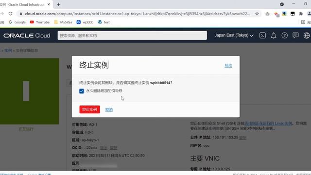 甲骨文云如何删除VPS实例 смотреть онлайн