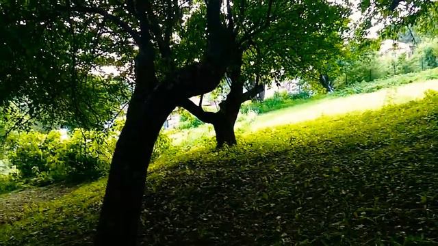 Гнездо Шпака! смотреть онлайн