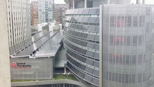 Downtown silver spring - Maryland смотреть онлайн