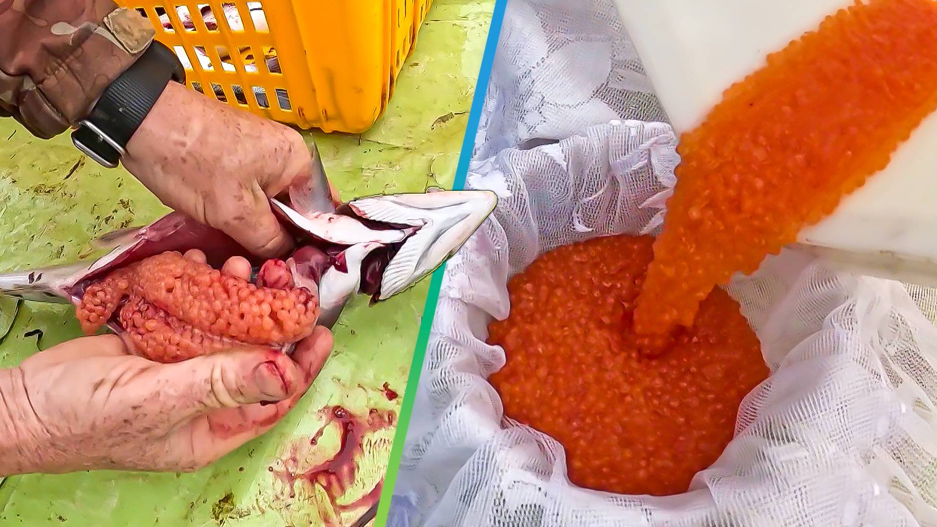 Телеканал МИР