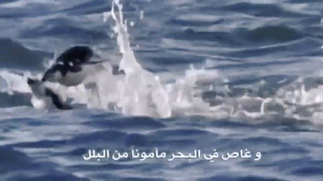 لو ان عبدا - للفيلسوف نصير الدين الطوسي смотреть онлайн