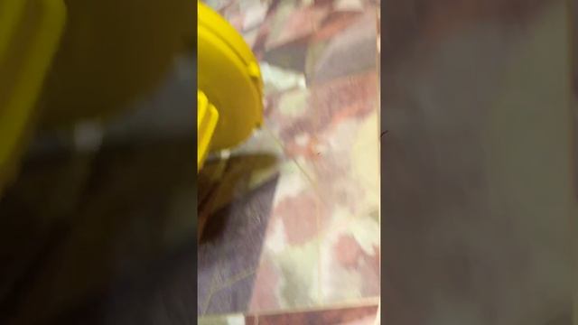 Видео про насос . смотреть онлайн