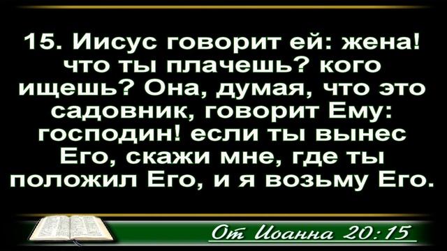 "Христос воскрес" - проповедует Владимир Веревка смотреть онлайн