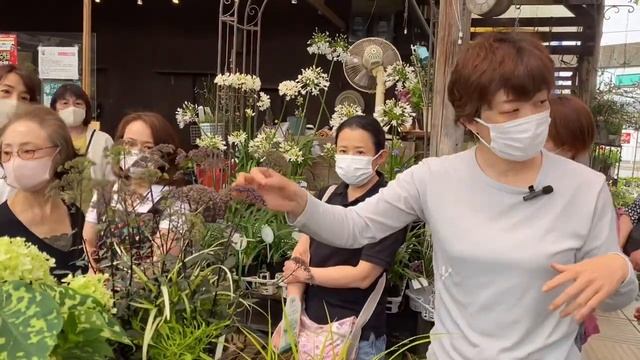 植えなきゃ損！夏の暑さ強い日差し西日ガンザンでも大丈夫！おすすめのお花8選！| Kanekyu金久 | 観葉植物/園芸店巡り | 大阪/日根野 смотреть онлайн