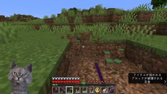 Minecraft test (Java Edition 1.19) смотреть онлайн