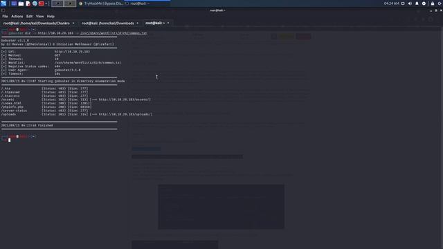 Tryhackme Bypass Disable Functions WalkThrough смотреть онлайн