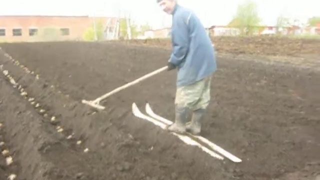 лыжи и картошка смотреть онлайн