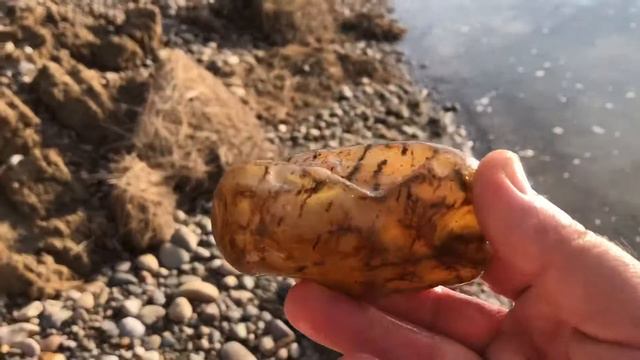 Montana Agate Hunting смотреть онлайн