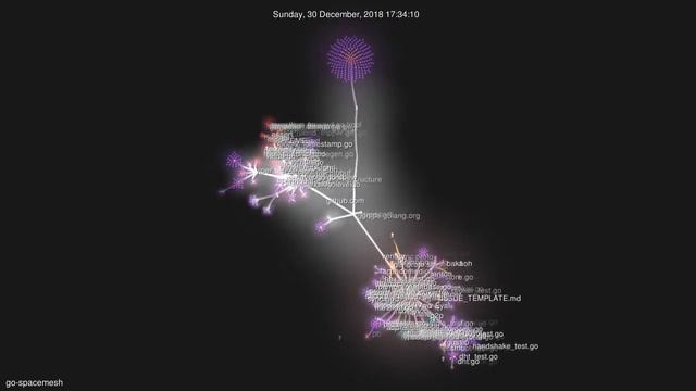 go-spacemesh: from git init to close testnet смотреть онлайн