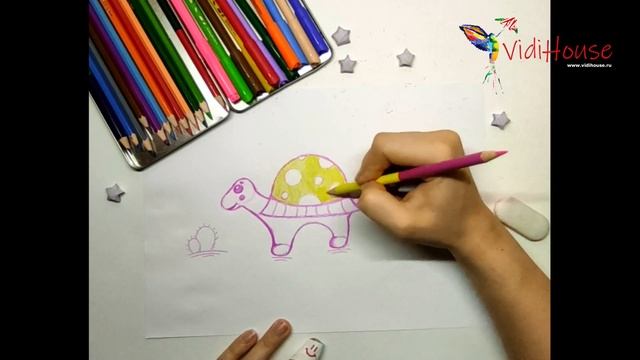 Как нарисовать черепашку поэтапно. смотреть онлайн