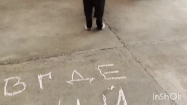 КВЕСТ для кошек