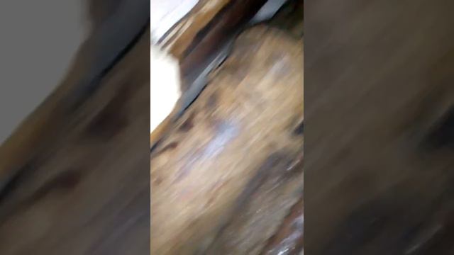 Липецк.Коммунальная катострофа.Черви и вода.Срочно!Смотреть всем! смотреть онлайн