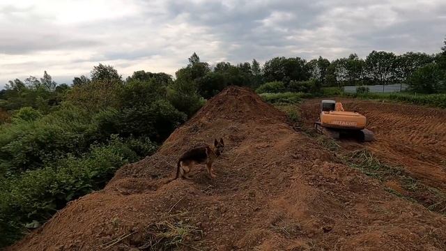 Строительство пруда часть 2 . Пруд будет больше чем я планировал. [Жизнь в деревне]