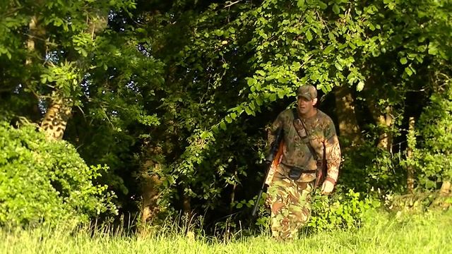 HUNTING WILD RABBITS смотреть онлайн