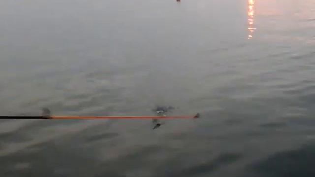 Рыбалка в Сочи с волнореза на самодур